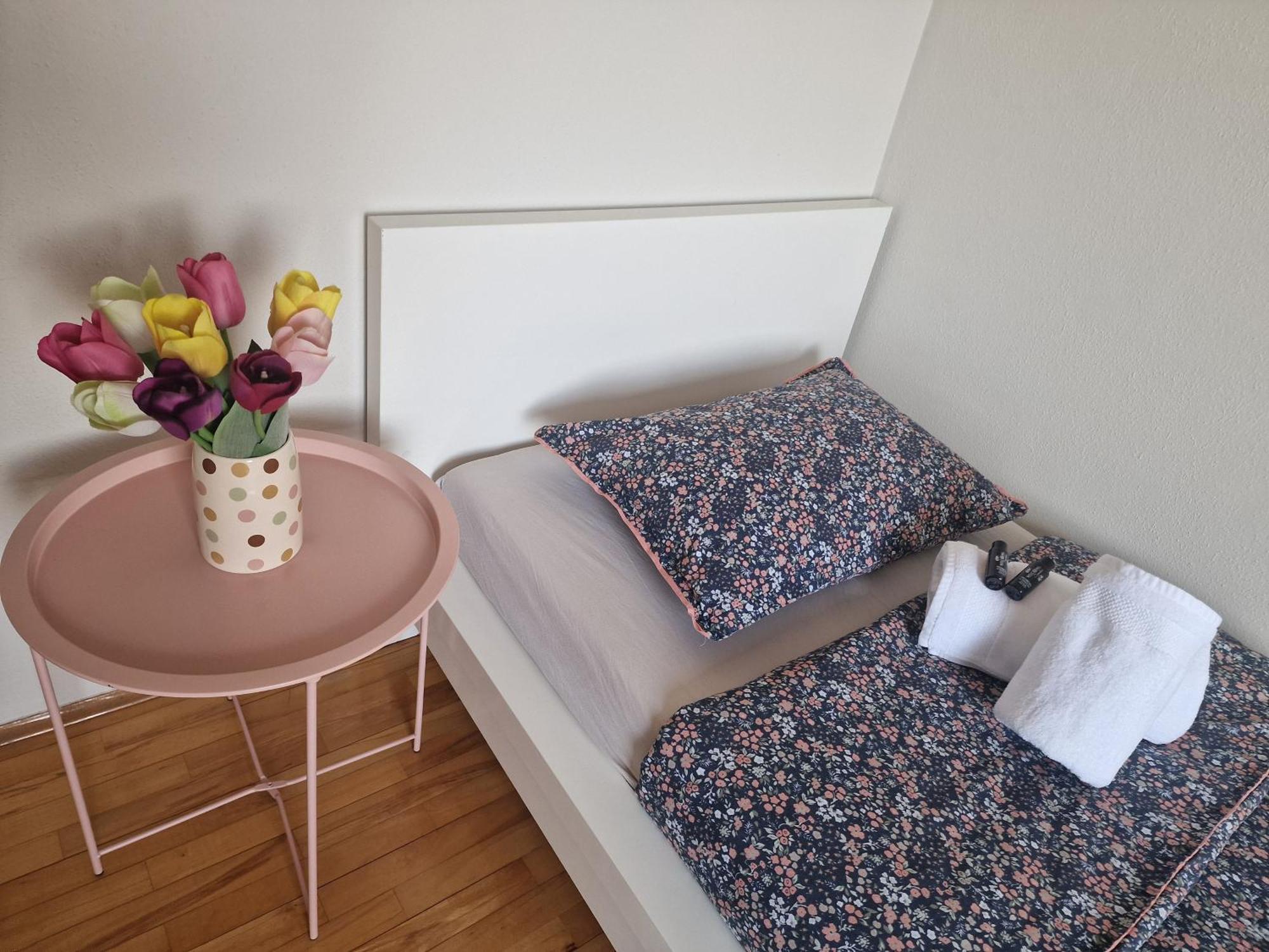 Apartman Loncar ポスシエ エクステリア 写真