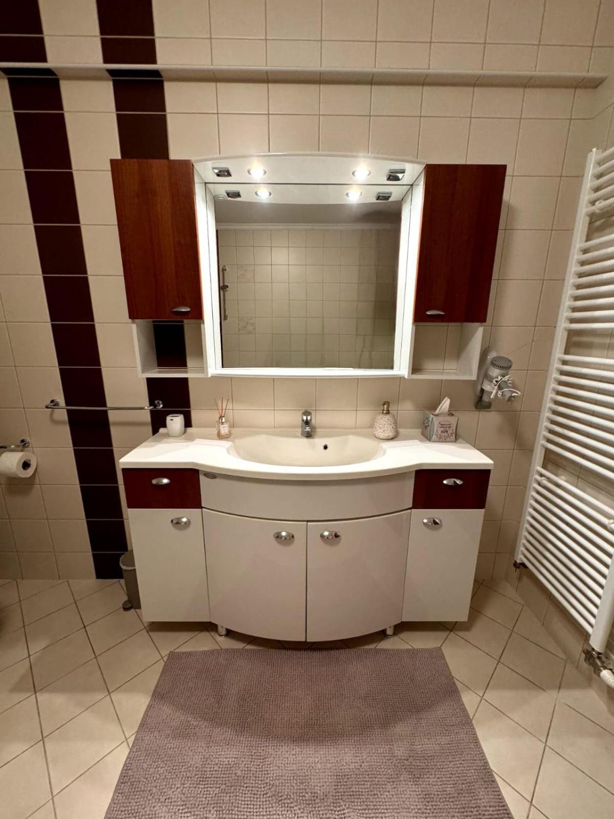 Apartman Loncar ポスシエ エクステリア 写真